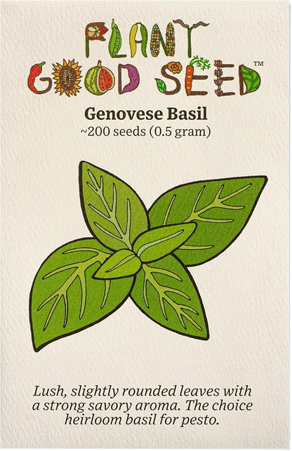 Plant Good Seed Organic Genovese Basil Seeds for Planting: Perennial Herb, Green Leaves - 200 Seed Packet