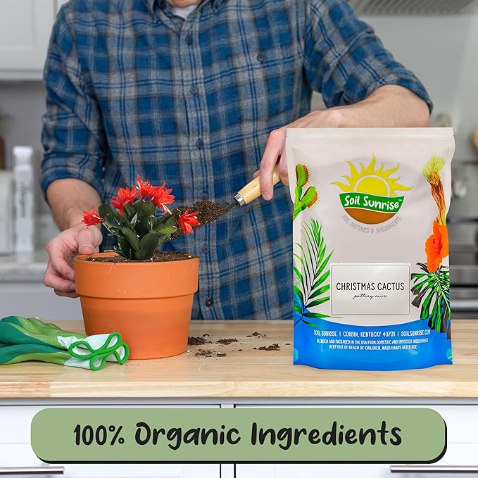 Soil Sunrise Christmas Cactus Potting Soil Mix (4 Quarts) Custom Blend for Xmas, Easter, and Thanksgiving Cactus Tropical Indoor Houseplants