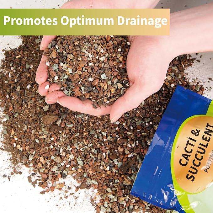 Succulent & Cactus Soil Potting Mix 10qt, Chunky Dirt with Fast Draining Fits for Bonsai, Terrarium and Houseplant