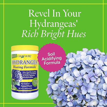 Grow More Hydrangea Blueing Formula - 2lbs of USA-Made Soil Acidifier for Hydrangeas, Azaleas, Gardenias, & Many More - Contains Aluminum Sulfate That Enhances Color Change for Soil and Potted Plants