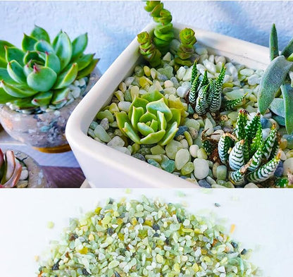 3lb Jade Bean Pebbles,1/4 Inch Cactus Bonsai DIY Rocks, Natural Succulent Rock and River Rocks Decorative for Aquariums, Vases, Terrarium, Outdoor Gardening, Top Dressing for Potted Plants