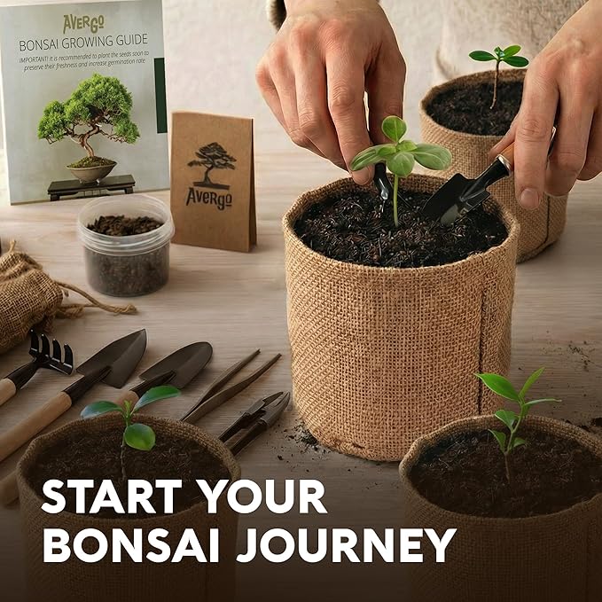 DIY Bonsai Tree Kit for Beginners – 5X Unique Japanese Bonzai Trees, Complete Indoor Bonsai Starter Kit for Growing Bonsai Plants w/Tools & Planters – DIY Christmas Gardening Gifts for Mom