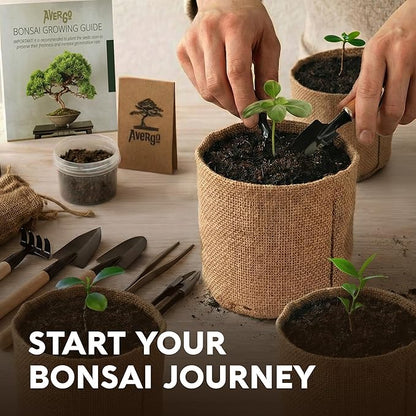 DIY Bonsai Tree Kit for Beginners – 5X Unique Japanese Bonzai Trees, Complete Indoor Bonsai Starter Kit for Growing Bonsai Plants w/Tools & Planters – DIY Christmas Gardening Gifts for Mom