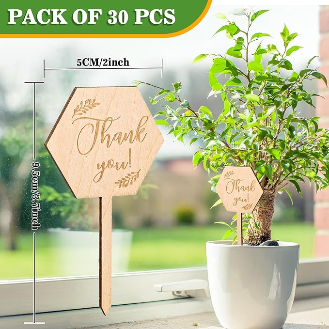 30Pcs Thank You Plant Labels Baby Shower Hexagon Wooden Plant Stakes Gift Succulent Garden Marker Plant Sign for Seed Potted Teacher Appreciation Thanksgiving Supplies