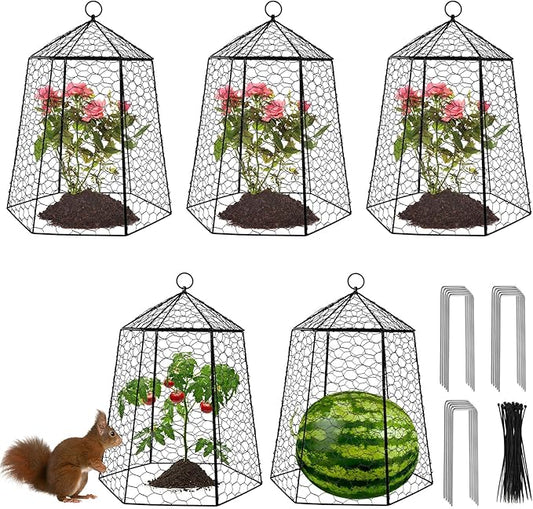 18.5" x 13" Large Plant Protection Cage, 5 Pcs Chicken Wire Cloche, Metal Protectors for Garden Plants, Protecting Fruits and Seedlings from Rabbits, Squirrels and Other Animals