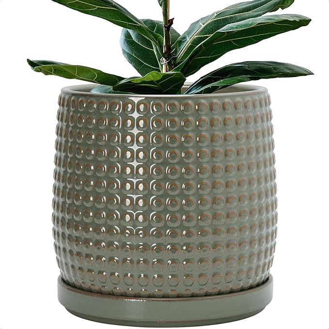 D'vine Dev 10 Inch Ceramic Beaded Stoneware Planter Pot - Flower Pot with Drainage Holes and Saucers for Indoor Succulent Plants or Flowers, Olive, 27-C-P-0