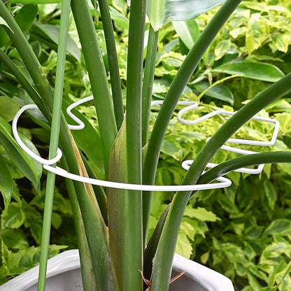 5PCS Monstera Plant Stem Support White - 11x9.4 inches, Durable Adjustable Leaf Supports for Indoor Plants, Fishbone Cactus Stake Holder for Garden Stability