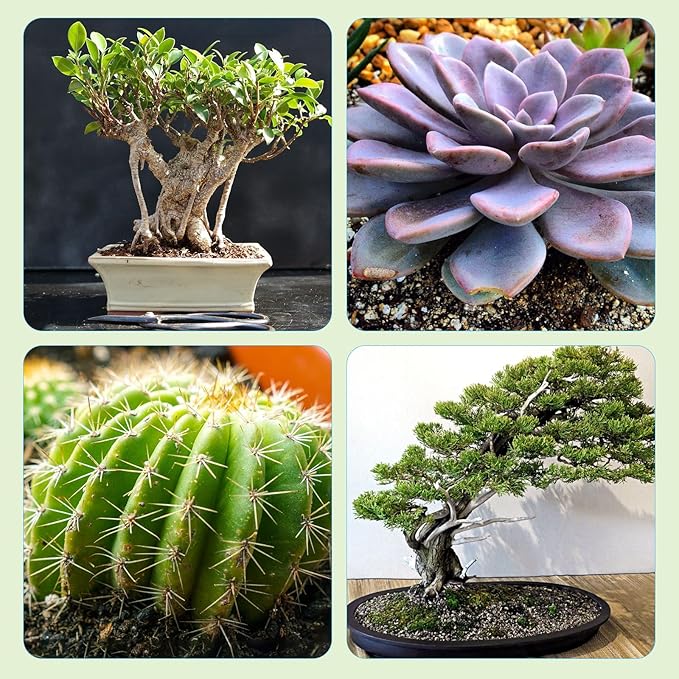 Bonsai Soil Mix Ready to Use (4qt), Premium Fast Draining Organic All Purpose Potting Mix for All Varieties of Bonsai
