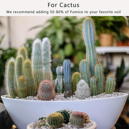 Horticultural Pumice for Plants 2QT, Natural Organic Pumice Stones for Succulent Cactus Bonsai Tree Orchid Potting Mixed, Improves Soil Aeration and Drainage, Promotes Root