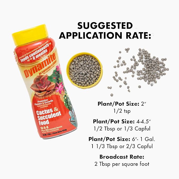 Dynamite Cactus & Succulent Food 18-6-8 - Plant Food for Indoor/Outdoor Cacti & Succulents - Continuous Feeding Up to 6 Months - Promotes Growth & Flowering - Includes Micronutrients