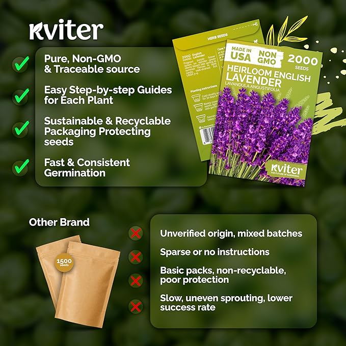 KVITER 2000 English Lavender Seeds for Planting Outdoor & Indoor (Lavandula angustifolia) – True Lavender Flowers, Heirloom Perennial, Non-GMO – Organic Herb Seeds for Outdoor Garden, Flower Beds