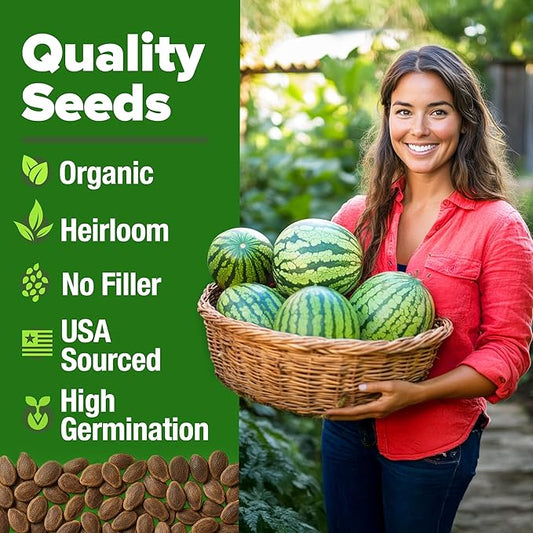 HOME GROWN Non GMO Organic Watermelon Vegetable Seeds (Crimson Sweet) 15 Non-GMO, Heirloom Water Melon (7g) for Planting in Home Gardens or Beds Outdoors Citrullus lanatus