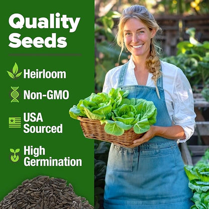 HOME GROWN Buttercrunch Lettuce Seed Pack - 3950 Vegetable Seeds - Ideal Seeds for Hydroponic Garden Indoor Premium and Heirloom Butter Lettuce Seeds for Planting (Lactuca Sativa)