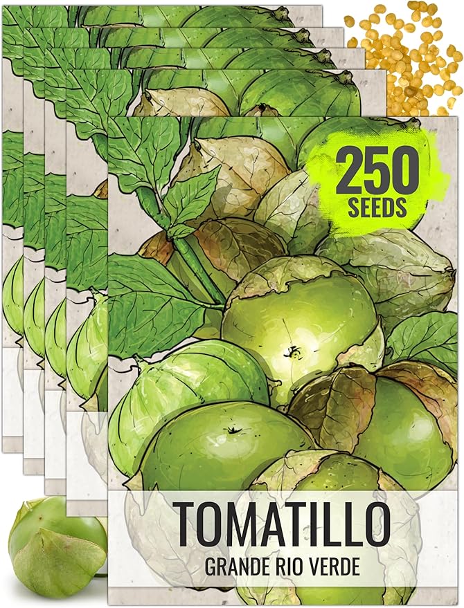 Seed Needs Tomatillo Seeds for Planting Grande Rio Verde Tomatillos - Non-GMO Heirloom & Untreated - Grow a Home Grown Outdoor Vegetable Garden - Great for Salsa & Mexican Cuisine (5 Packs)