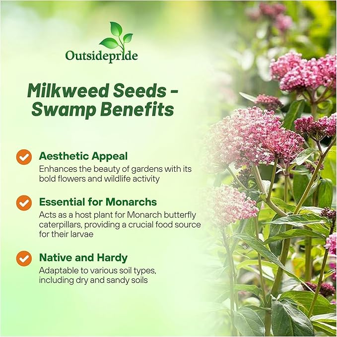Outsidepride Swamp Milkweed Seeds - 1000 Pcs Perennial, Heat & Humid Tolerant, Pollinator-Friendly Wildflower Seeds, Ideal for Monarch Butterflies, Cut Flowers, Borders, or Meadows
