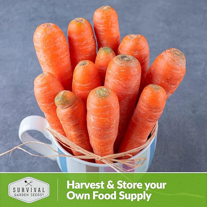 Danvers Carrot Seeds – Danvers 126 Half-Long Carrots for Planting, High-Yield Heirloom Variety – Non-GMO, Open Pollinated Garden Carrot Seeds – Survival Garden Seeds (1 Pack)