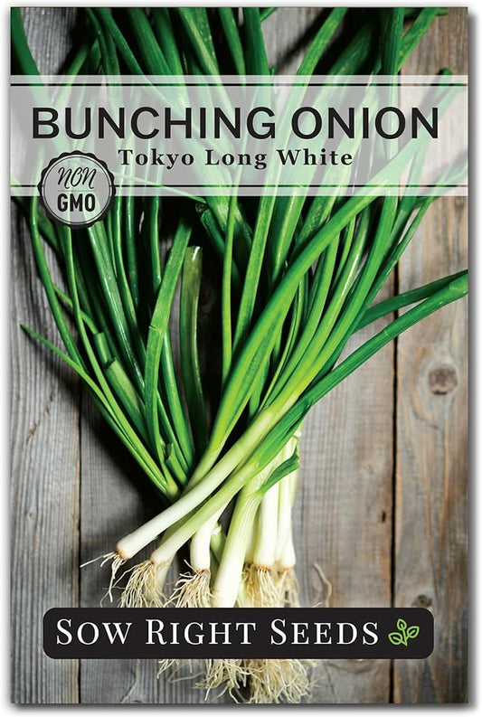 Sow Right Seeds - Tokyo Long White Bunching Onion Seeds for Planting - Perfect for Planting Outdoors or Indoors - Non-GMO Heirloom Green Onions - Easy to Grow for Gardeners - Tasty Flavor (1)