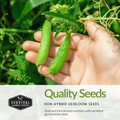Survival Garden Seeds Kids' Easy Garden Collection - Cucumber, Radish, Beans, Peas, Lettuce, Basil Non-GMO Open Pollinated Seeds for Growing on The Homestead or in The Vegetable Garden