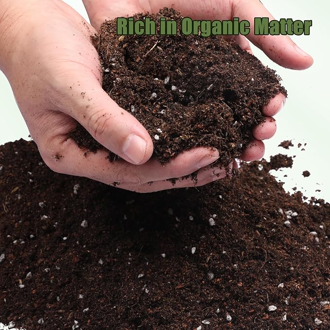 Potting Soil Mix for Fern 10qt, Custom Hand Blended Mixture Suitable for Indoor/Outdoor Potted Fern Plant