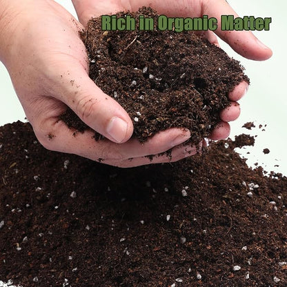 Potting Soil Mix for Fern 1qt, Custom Hand Blended Mixture Suitable for Indoor/Outdoor Potted Fern Plant