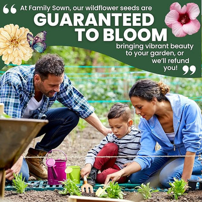 Shade Tolerant Mix – 14,000 Wildflower Seeds for Pollinator Gardens – 2026 Season – 1 Ounce Pouch