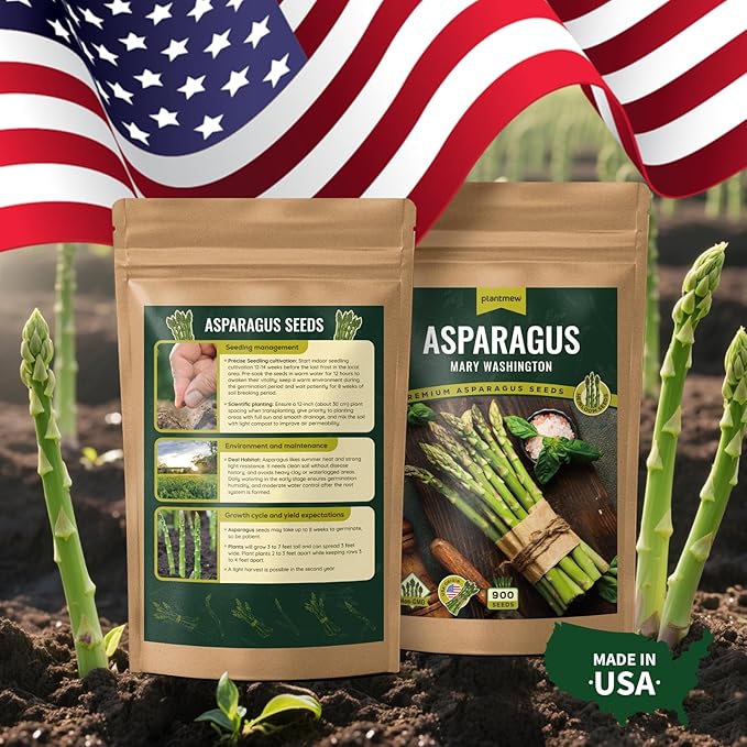 Mary Washington Asparagus Seeds - 900 Seeds, Non-GMO Heirloom Seeds with Planting Instructions for Outdoor Home Gardens