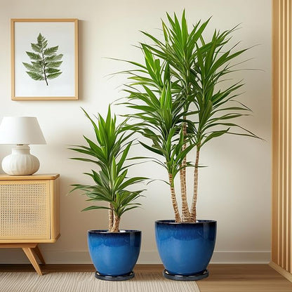 Ceramic Plant Pots 3 Pack - 10 Inch 8 Inch 6 Inch Round Modern Planters with Drainage Holes and Saucers, Flower Pots for Indoor Outdoor, Room Garden House Decor, Gift for Women Men, Blue
