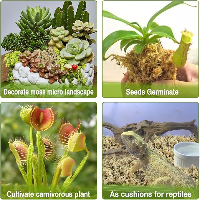 Legigo 1.2LBS Premium Sphagnum Moss for Plants- 20QT Natural Succulent Carnivorous Plant Moss Dried, Long Fiber Orchid Moss for Orchid Repotting Succulent Sarracenia Potted Plants Gardening & Reptiles