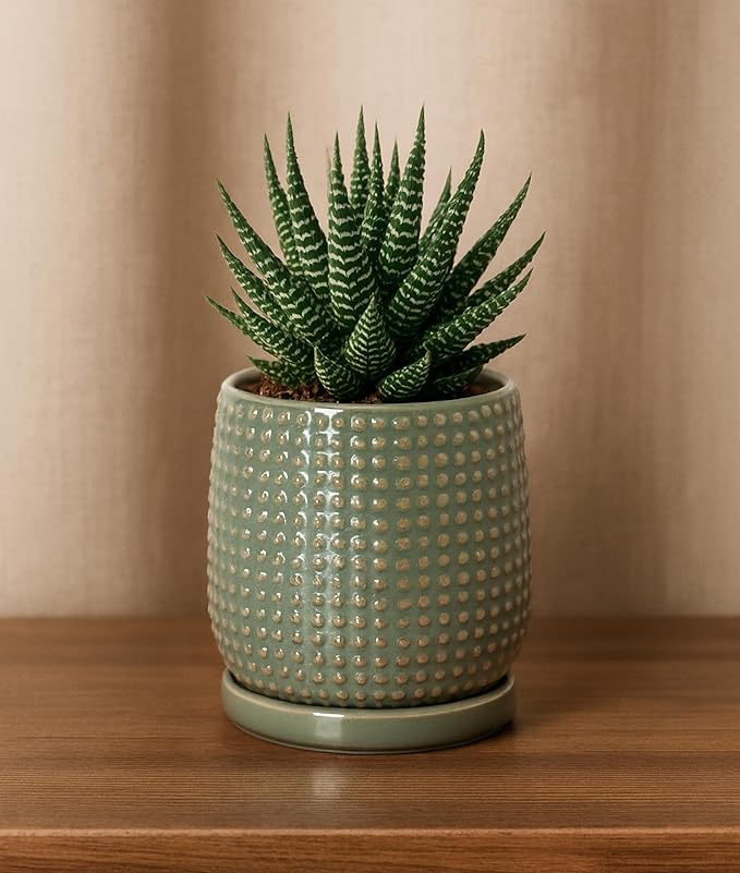 D'vine Dev 4 Inch Ceramic Beaded Stoneware Planter Pot - Flower Pot with Drainage Holes and Saucers for Indoor Succulent Plants or Flowers, Olive, 27-C-Z-0