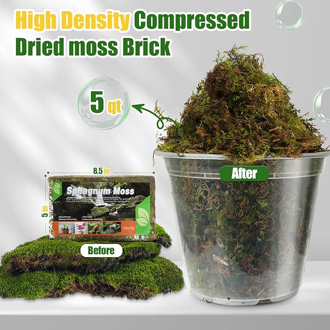Dried Forest Moss for Plants (5 qt / 1 Pack), Sphagnum Potting Moss for Various Plants, Including Orchids, Carnivorous Plants, Succulents, Garden Flowers, and Reptiles