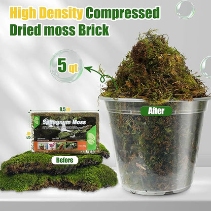 Dried Forest Moss for Plants (10 qt / 2 pcs), Sphagnum Potting Moss for Various Plants, Including Orchids, Carnivorous Plants, Succulents, Garden Flowers, and Reptiles