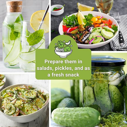 Sow Right Seeds - Cucumber Seed Collection for Planting - Pale Armenian, Pickling, Lemon, Beit Alpha, Marketmore Variety Pack - Non-GMO Heirloom Packets - Plant and Grow a Home Vegetable Garden