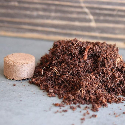 Minute Soil - Compressed Coco Coir Fiber Grow Medium - 20 MM Pellets - Bag of 100 = 5 Quarts of Potting Soil - Indoor Growing: House Plants, Herbs, Microgreens, Just Add Water - Peat Free - OMRI
