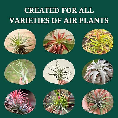 Cute Farms Tillandsia Air Plant Fertilizer | Gentle Weekly Use Formula Plant Food | Formulated Nutrients for Air Plants (Three - 8 oz. Spray Bottle)