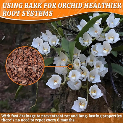 AVALUTION Orchid Potting Bark-9QT Organic Orchid Bark for Plants, All Natural Pine Bark Wood Chips for Houseplant Mulch, Orchid Plants Root Development, Mulch for Potted Plants