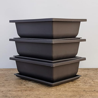 Bonsai Outlet Training Pots with Humidity Trays - Built in Mesh, Brown 8-Inch Large Planters + Made from Durable Shatter Proof Poly-Resin, Set of 3 Pot Set