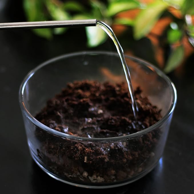 Daniel’s Plants Indoor Potting Soil – Enriched with Kelp, Worm Castings & Microorganisms for Healthy Growth, Aeration & Moisture Control (10-Quart)