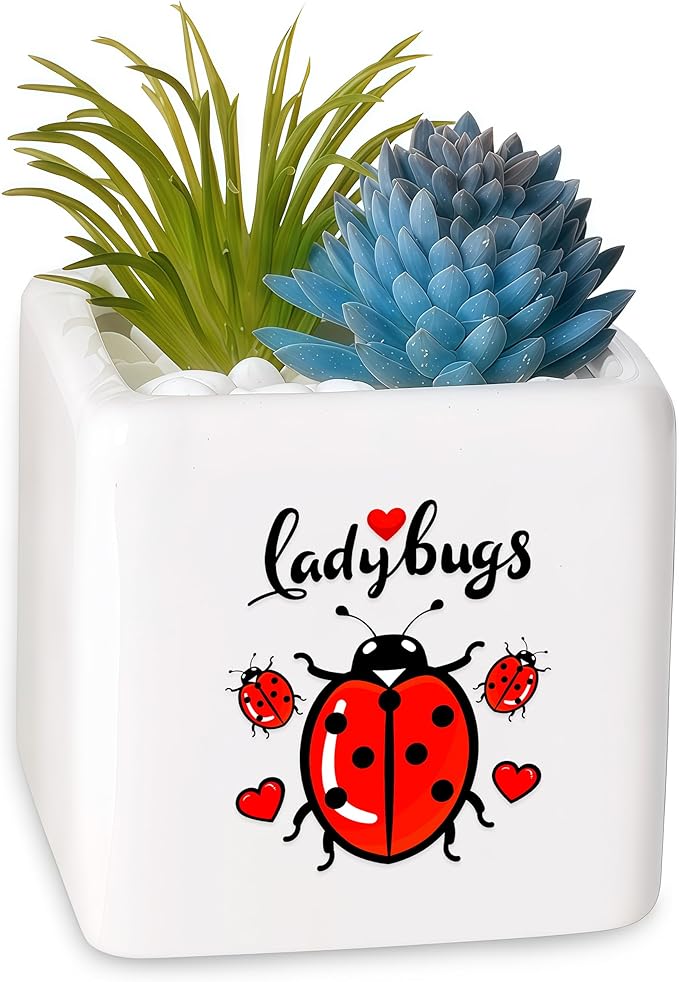 Ladybugs Succulent Planter Flower Plant Pot Small, Gifts for Women Teens Girls Kids, Ladybugs Lovers Themed Stuff Accessories Things Decor Merch, Home Office Table Desk Decoration!