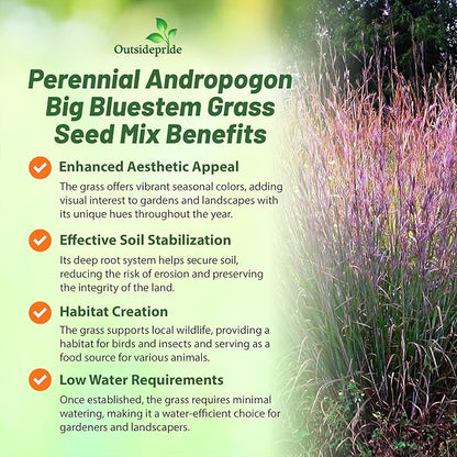 Outsidepride Perennial Andropogon Big Bluestem Grass Seed - 5 lbs. Warm Season, Drought Resistant, Native Prairie Grass Seed, Ideal for Erosion Control, Ornamental Landscaping & Wildlife Gardens