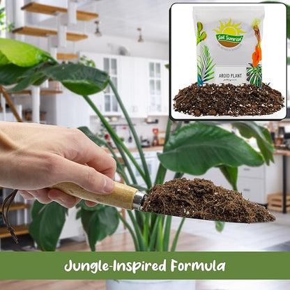 Soil Sunrise Aroid Plant Potting Soil Mix (8 Quarts) for Pothos Devil's Ivy, ZZ Plant, Chinese Evergreen, Dumb Cane Philodendron, Syngonium, Alocasia, Colocasia Etc.