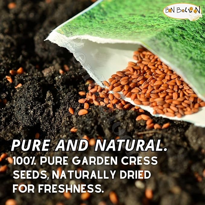 Egyptian Garden Cress Seed Seeds Pure Natural Herbal Herb Herbs Herbals (1 Pack = 8.82 oz / 250 gm) Seasoning Spice Spices Bulk Egypt Arab Arabic Arabian No Additives Non Gmo Kosher Halal حب الرشاد
