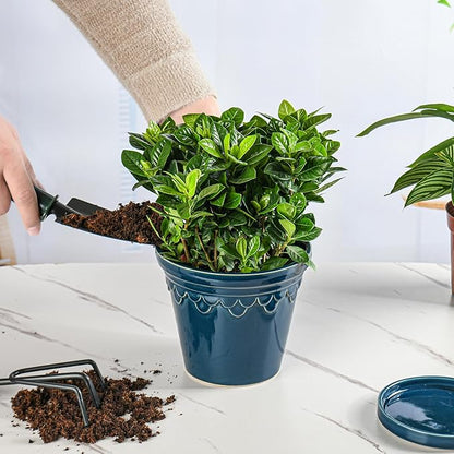 6.3 Inch Ceramic Planter, Plant Pot with Drainage Hole and Saucer, Decorative Glaze Flower Pot for Indoor Plants (Capri Blue)