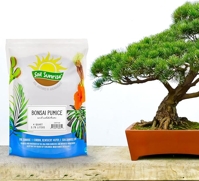 Soil Sunrise Horticultural Bonsai Pumice Soil Additive (4 Quarts) 7LB Ideal Substrate for Bonsai Trees, Cactus and Succulents