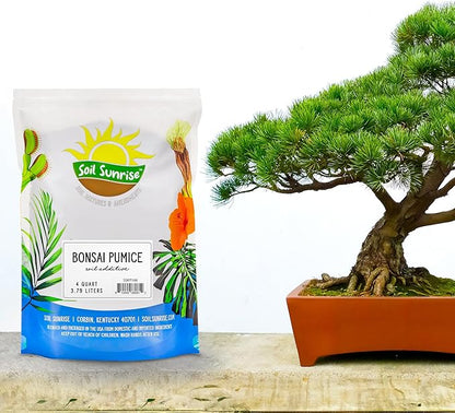 Soil Sunrise Horticultural Bonsai Pumice Soil Additive (4 Quarts) 7LB Ideal Substrate for Bonsai Trees, Cactus and Succulents