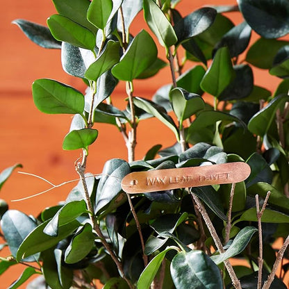 Bosmere Permanent 4-Inch Long Copper Tags with Copper Ties, 20-Pack