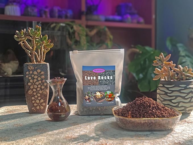 Lava Rocks for Plants, Volcanic Stones Gravel Horticultural Drainage Potting Soil for Indoor Outdoor Plants, Succulents, Bonsai, Cactus, Vase Fillers, Top Dressing (Red, 5lbs)
