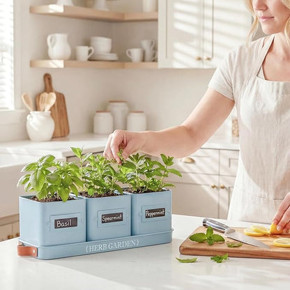 PERFNIQUE Indoor Herb Garden, Herb Garden Planter Set with Tray, Farmhouse Indoor Plant Pots, Windowsill Herb Garden with Drainage(Planter only) for Indoor/Outdoor, Window Pots(Sky Blue)