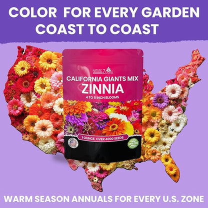 NatureZ Edge Zinnia Seeds for 2026 Planting Outdoors, Over 4000 Flower Seeds, 1 Oz, Non GMO Made in USA, Bulk Semillas De Flores para Sembrar, California Giants, Easy to Grow Zinnia Seed Mix