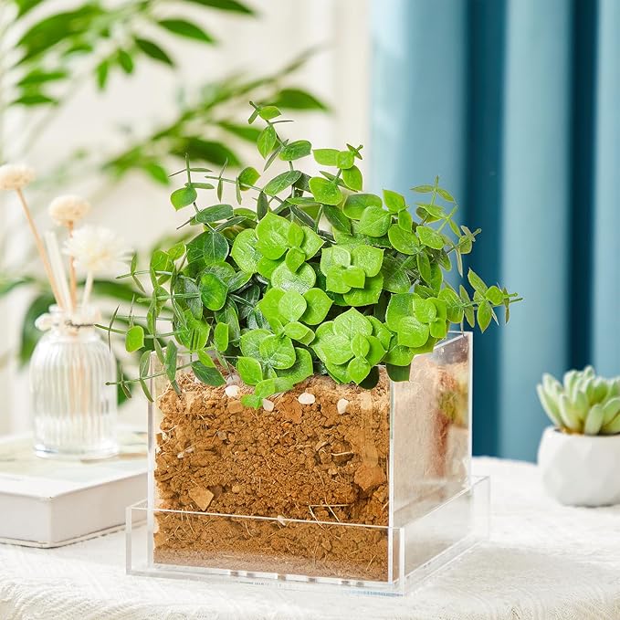 Clear Plant Nursery Pots Acrylic Orchid Pots with Drainage Holes and Tray Transparent Planter for Indoor Plants, Succulents, Herb, Flowers and Cactus Decorative(6 Inches,Square)