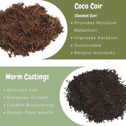 Soil Sunrise All Natural Tomato Starter/Potting Mix (8 Quarts) Perfect Backfill for Outdoor Tomato Plant Holes, Hand Blended with Natural Ingredients Including Worm Castings